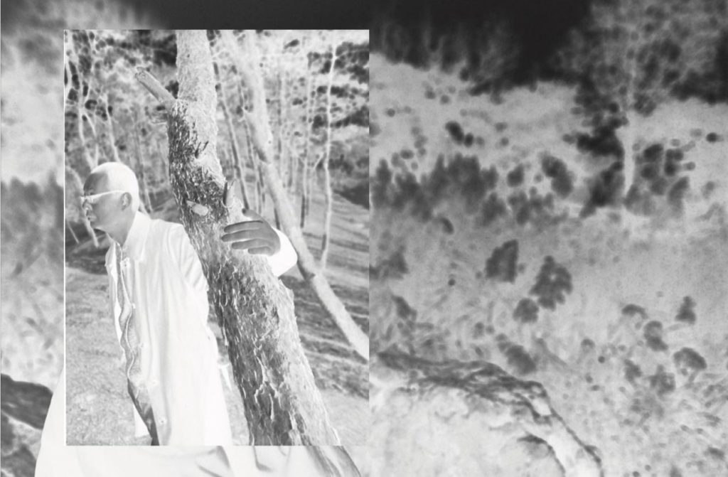 胡赳赳七千字长诗结束